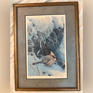 Framed Winter Cardinal Art Print Robert Bateman